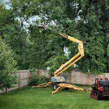 Best Tree Disease Treatment  in Elburn, IL